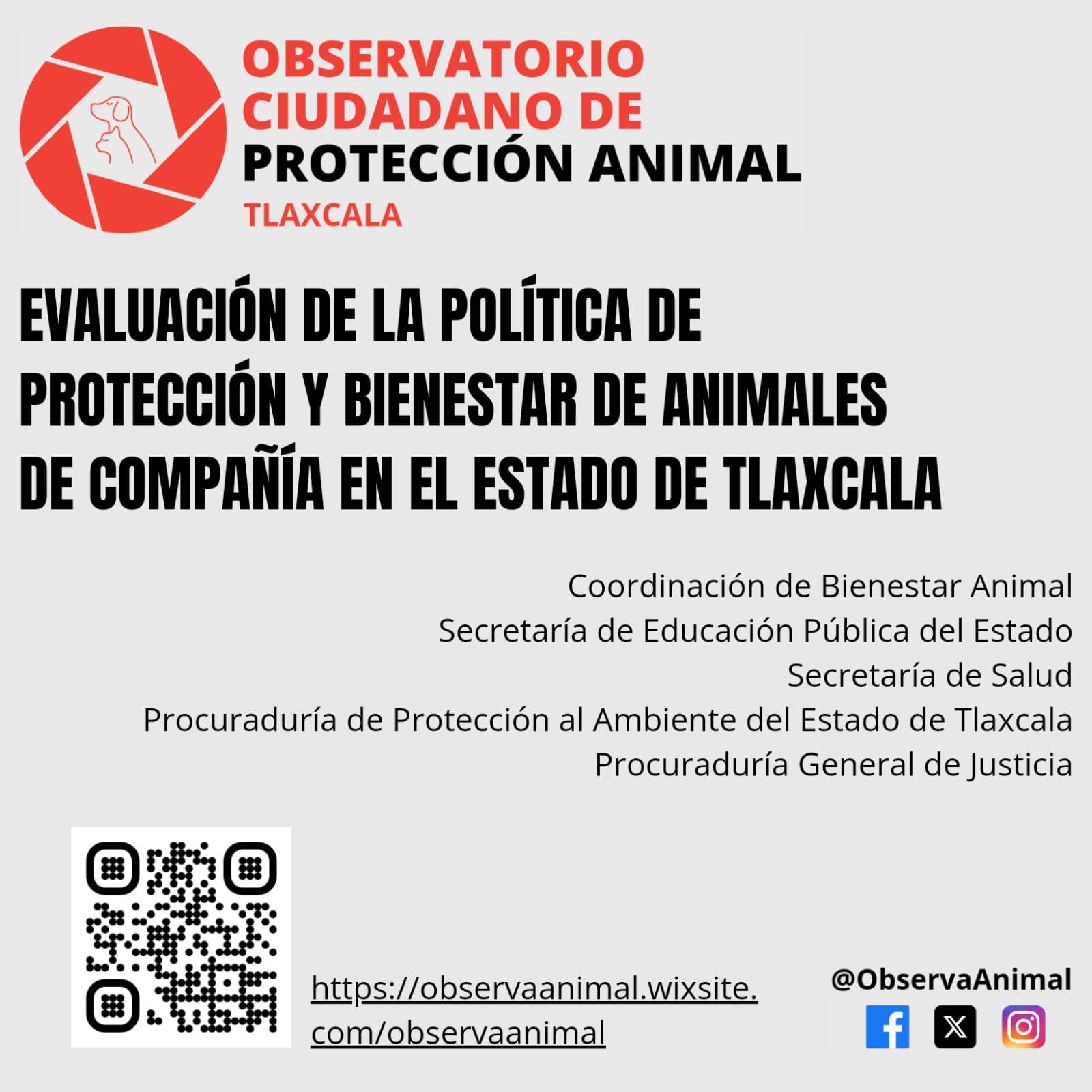 Organización hispanoamericana AnimaNaturalis junto al OCPA evalúa la protección animal en Tlaxcala